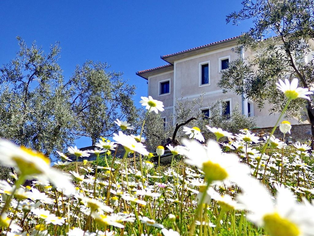 Villa Duchess Pteleós Buitenkant foto